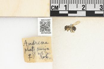 Media type: image;   Entomology 769584 Aspect: Labels